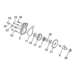 21- PIÑON Z13 BOMBA AGUA NYLON FCC